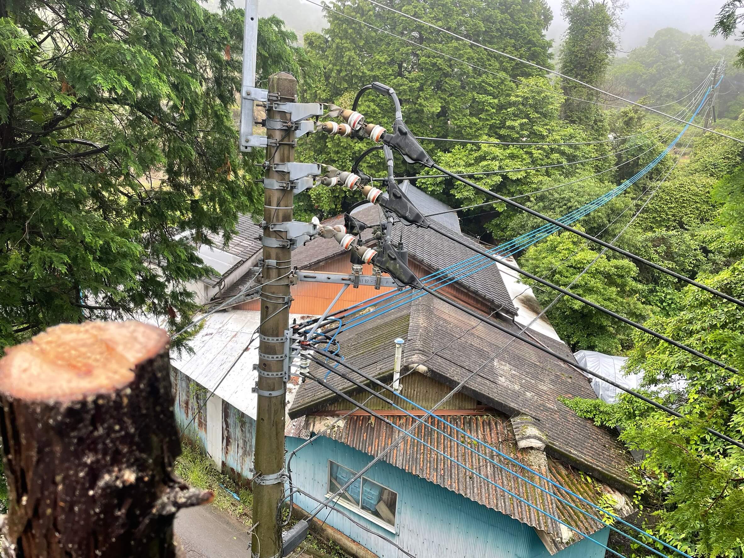 切り落とす、と言っても現場はご覧のような状況。住宅だけでなく電線にも近く、慎重に作業を進めていきます。